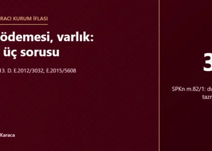 Tedbir, fon ödemesi, varlık: Danıştay'ın üç sorusu