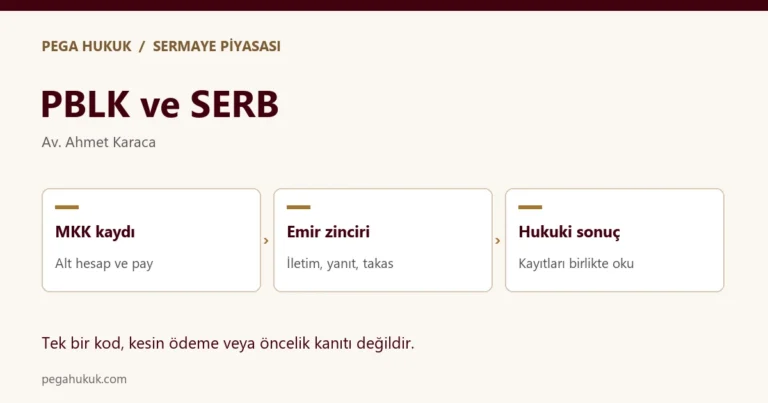 MKK’da PBLK ve SERB: Fon Kaydı Neyi İspatlar?