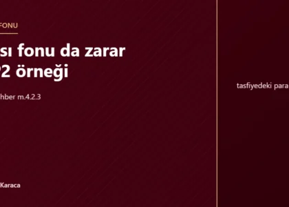 Para piyasası fonu da zarar edebilir: TP2 örneği