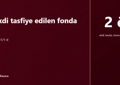 Şirketin nakdi tasfiye edilen fonda kaldıysa