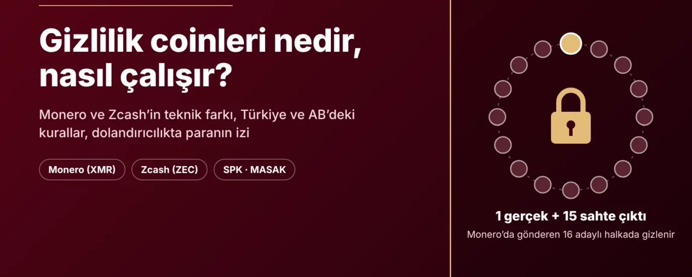 Gizlilik coinleri rehberi kapak görseli: Monero’da gerçek çıktının 15 sahte çıktı arasında saklandığı 16 adaylı halka ve kilit simgesi